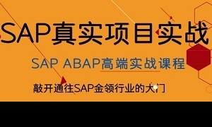SAP培训课程 |  ABAP模块简介