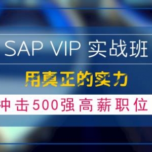 SAP VIP实战班，用真正的实力，冲击500强高薪职位