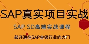 SAP SD培训课程简介