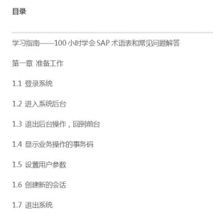 100СʱѧSAP